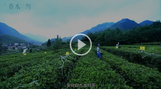 香木海芙蓉山黑茶企業(yè)宣傳片（5分鐘版）