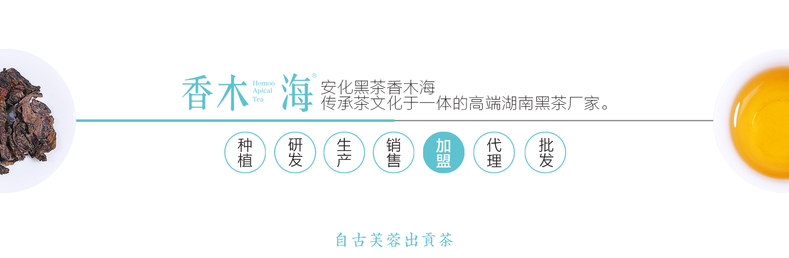 香木海，建好茶的標(biāo)準(zhǔn)，做黑茶的代表，為人類(lèi)健康服務(wù)。